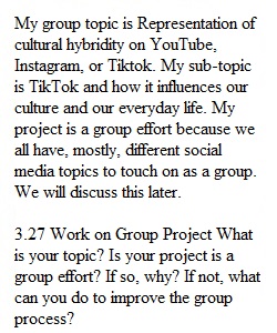 3.27 Work on Group Project
